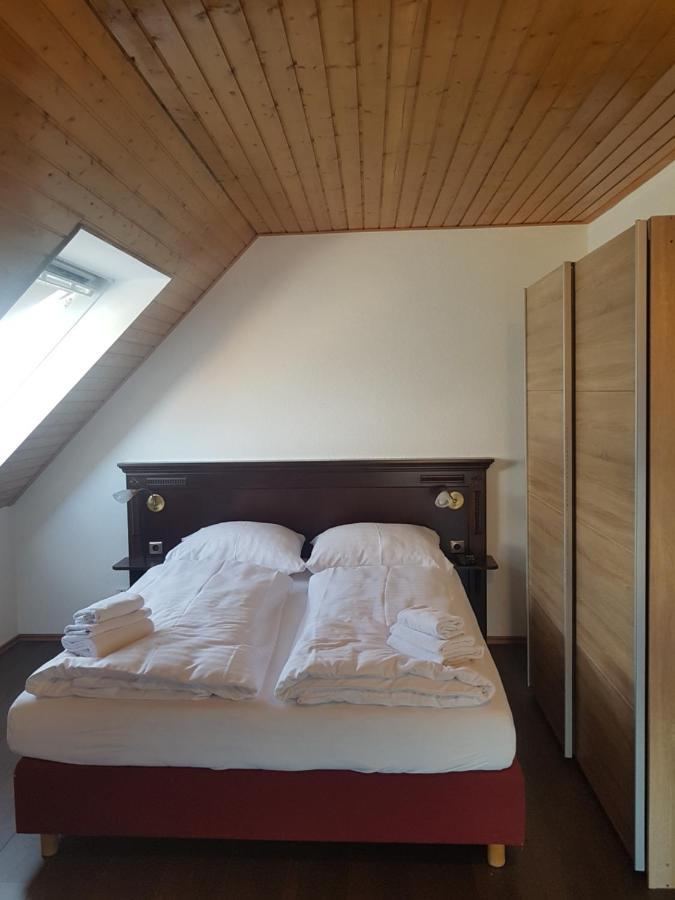 Eisberg Gaestehaus & De Luxe Appartements Friesenheim  Buitenkant foto