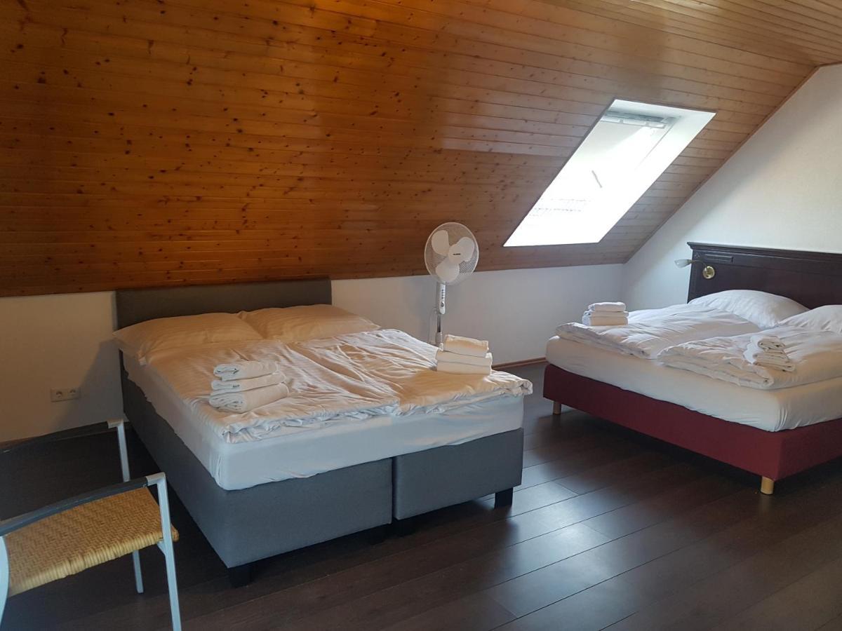 Eisberg Gaestehaus & De Luxe Appartements Friesenheim  Buitenkant foto