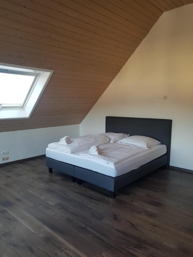 Eisberg Gaestehaus & De Luxe Appartements Friesenheim  Buitenkant foto